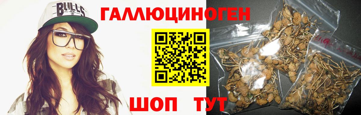 Аксай  Галлюциногенные грибы Cubensis  Вход с VPN 